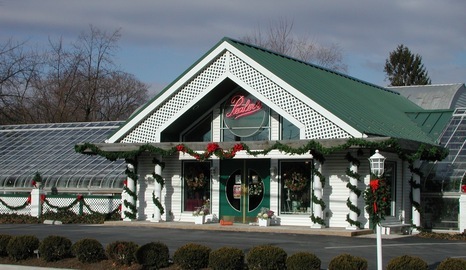 Pealers Flowers , Camp Hill, PA